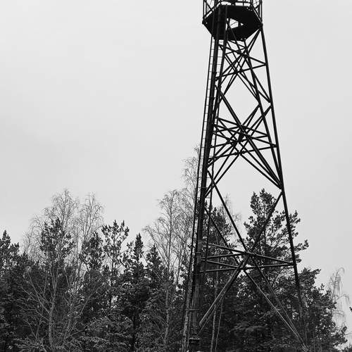 Photo #13268847