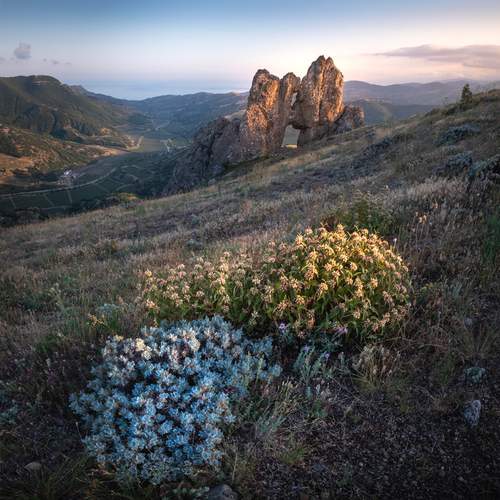 Photo #13268893