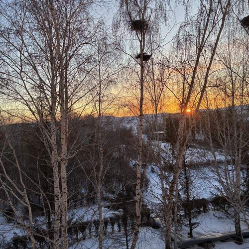 Photo #13268939