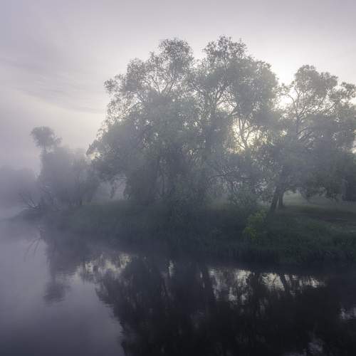 Photo #13268969