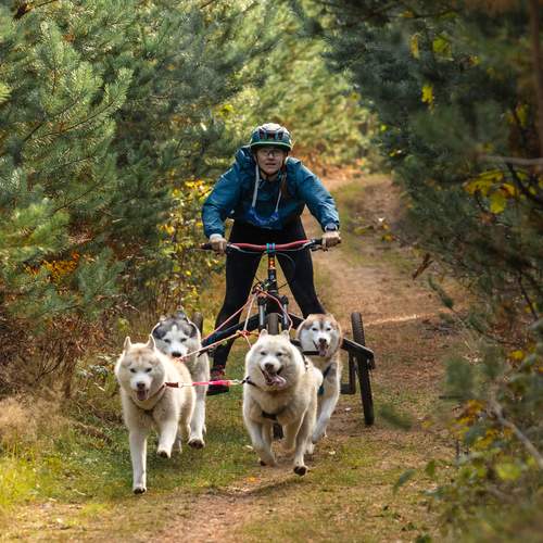 Photo #13269021