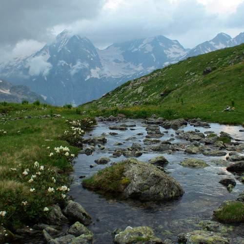 Photo #13269064