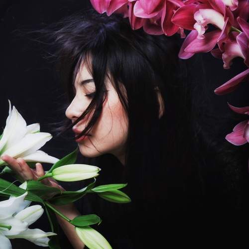 Photo #13269121