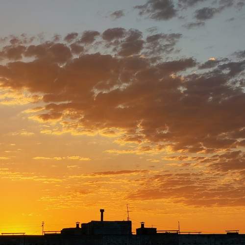 Photo #13269137