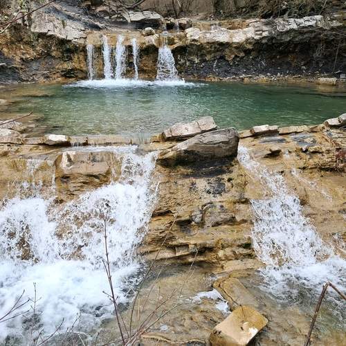 Photo #13269139