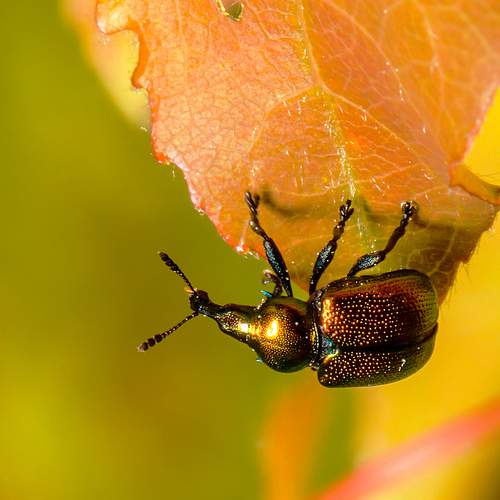Photo #13269225