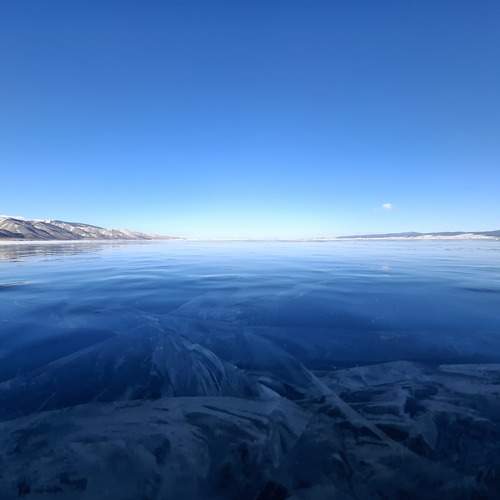 Photo #13269239