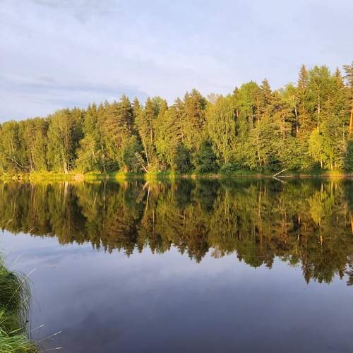 Photo #13269291