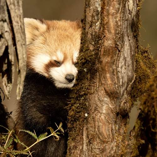 Photo #13269353