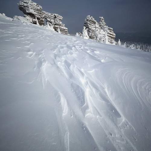 Photo #13269448