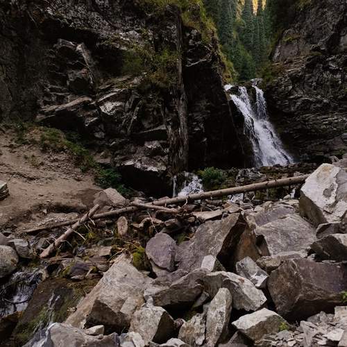 Photo #13270176