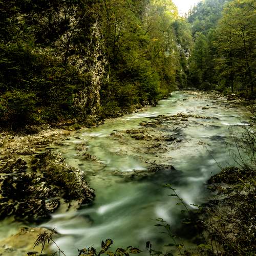 Photo #13270229