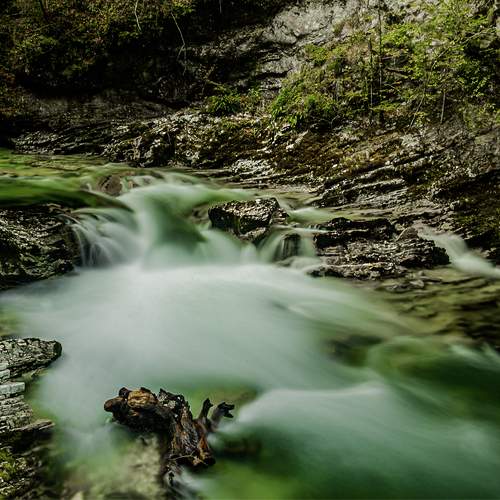 Photo #13270278