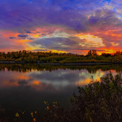 Photo #13270329