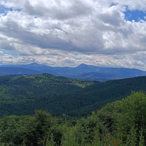 Photo #13270432