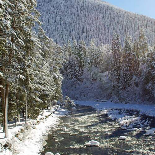 Photo #13270496