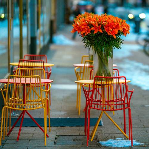 Photo #13270530