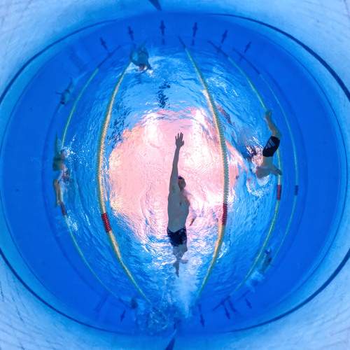 Photo #13270668