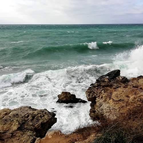 Photo #13270684