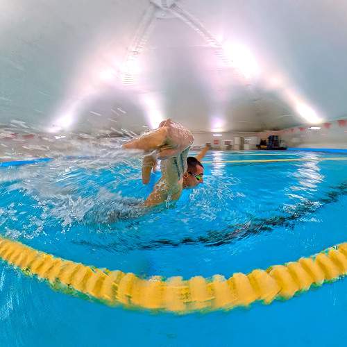 Photo #13270691