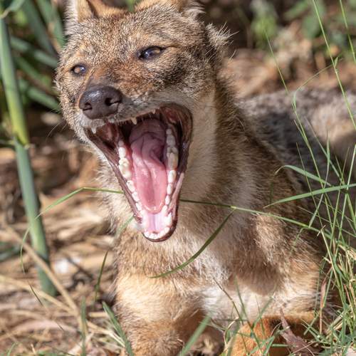 Photo #13270763