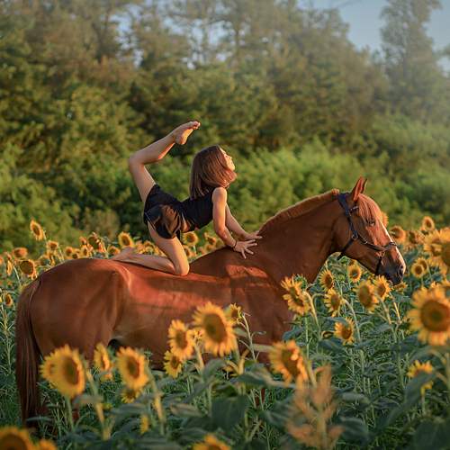 Фотография #13270792