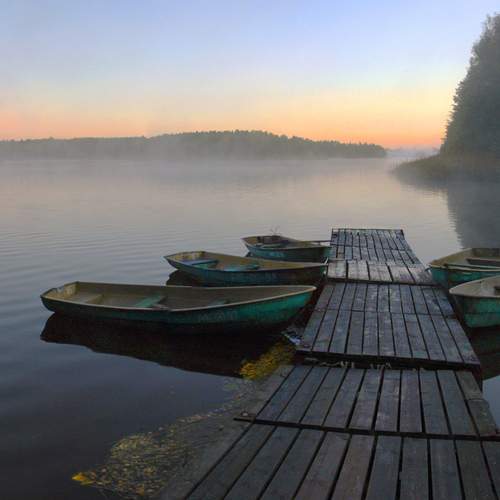 Photo #13271066