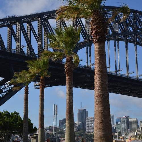 Photo #13271208