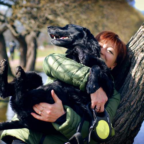 Photo #13271601