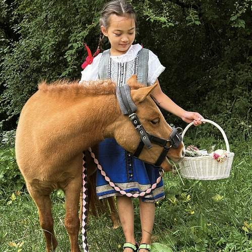 Photo #13271648