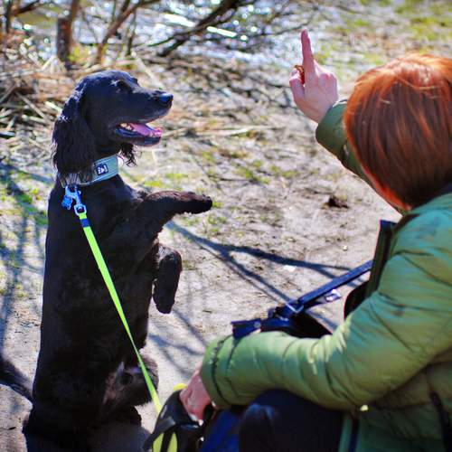 Photo #13271658