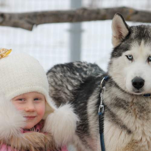 Photo #13271765