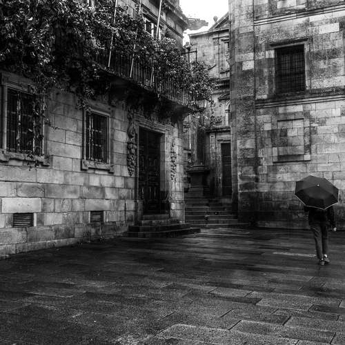 Photo #13271846