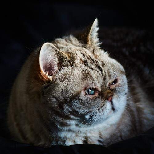 Утреннее пробуждение