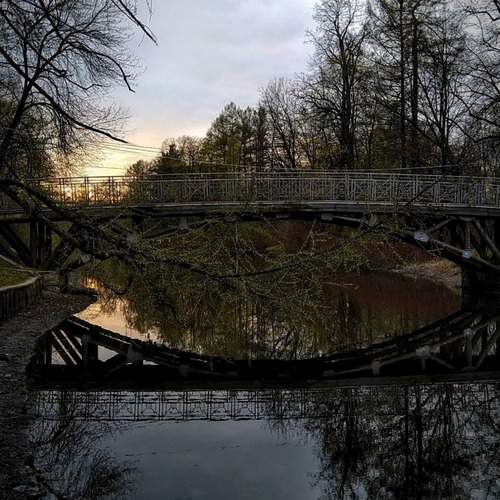 Photo #13272042
