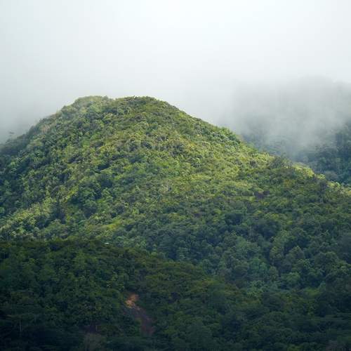 Photo #13272063