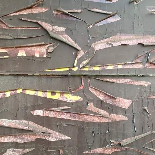 Photo #13272068