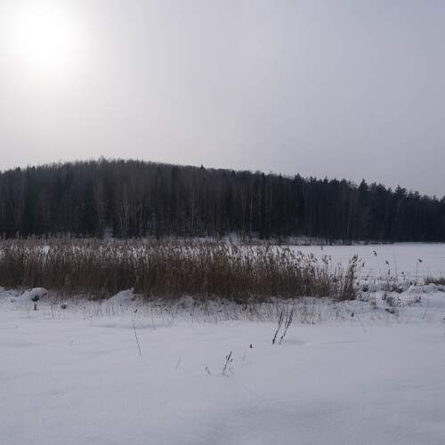 Photo #13272246