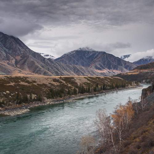 Photo #13272279