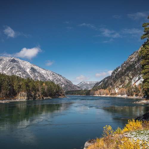Photo #13272281