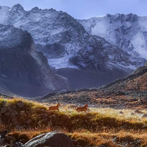 Фотография #13272297