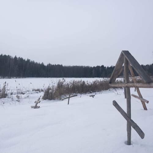Photo #13272298