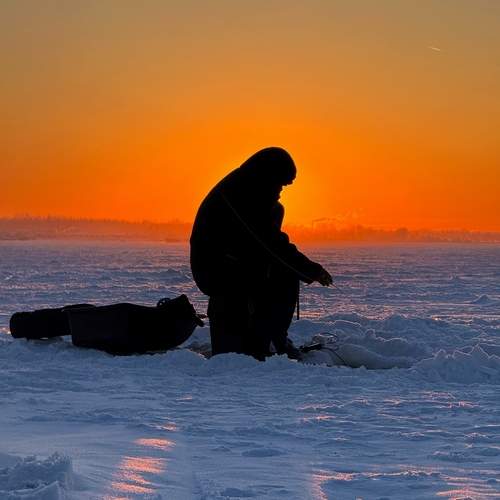 Photo #13272428