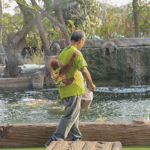 Photo #13272432