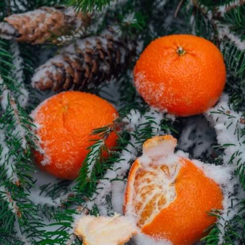 Photo #13272499