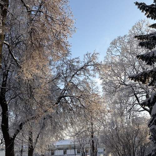 Photo #13272741