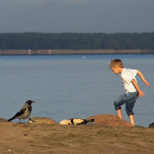 Photo #13272826