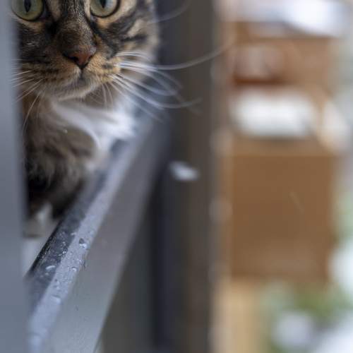 Photo #13272882