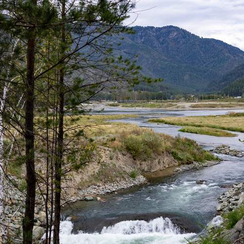 Photo #13272891