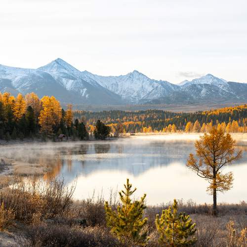 Краски Алтая